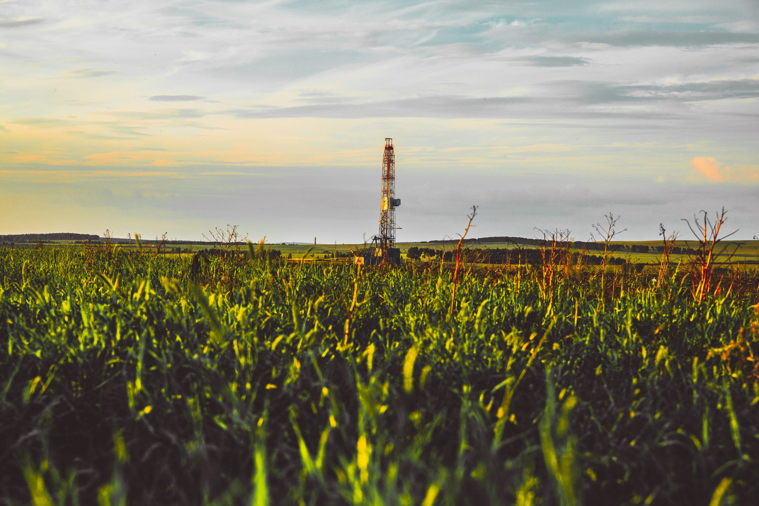 AdobeStock 266420359 scaled