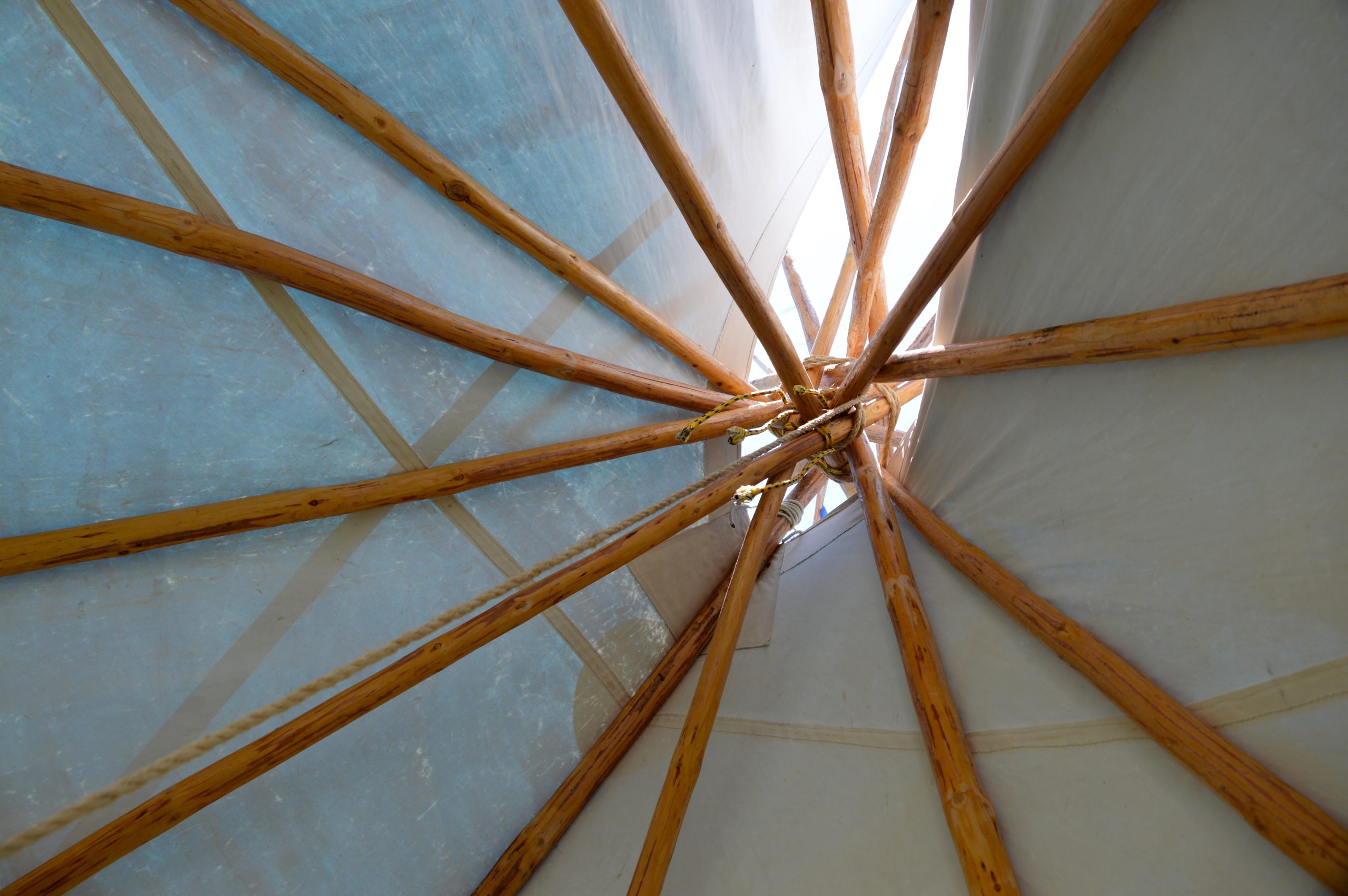 AdobeStock 87922657 scaled