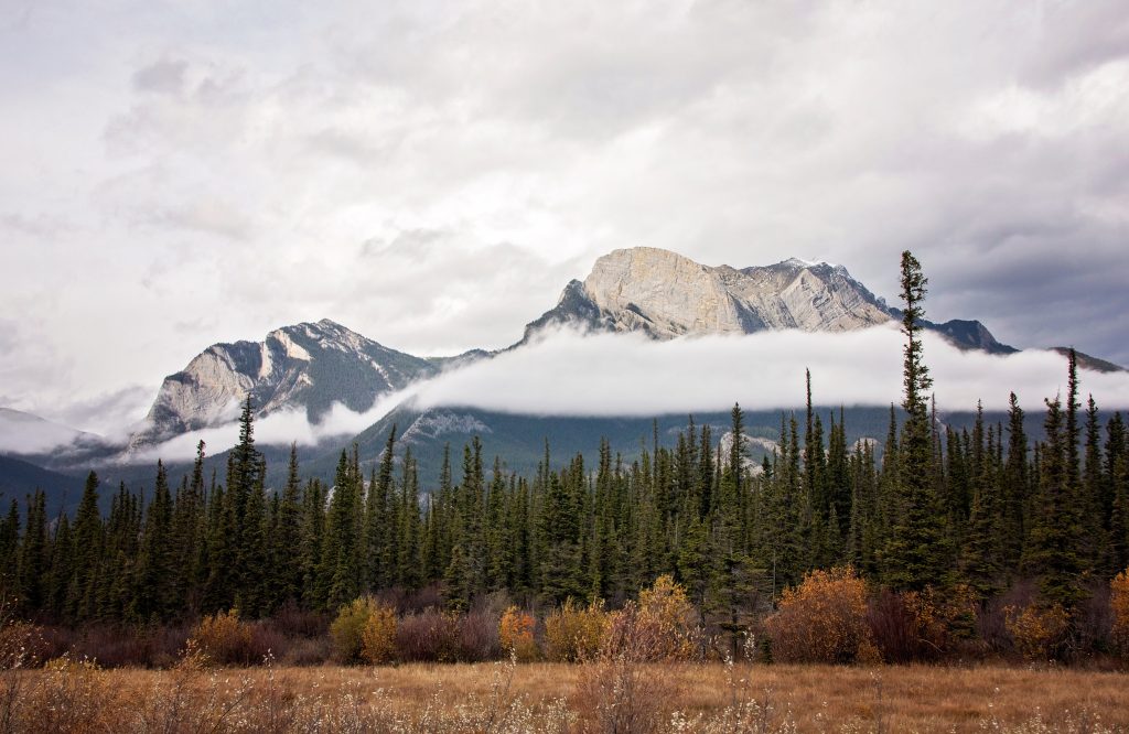 Cultural and Community Support