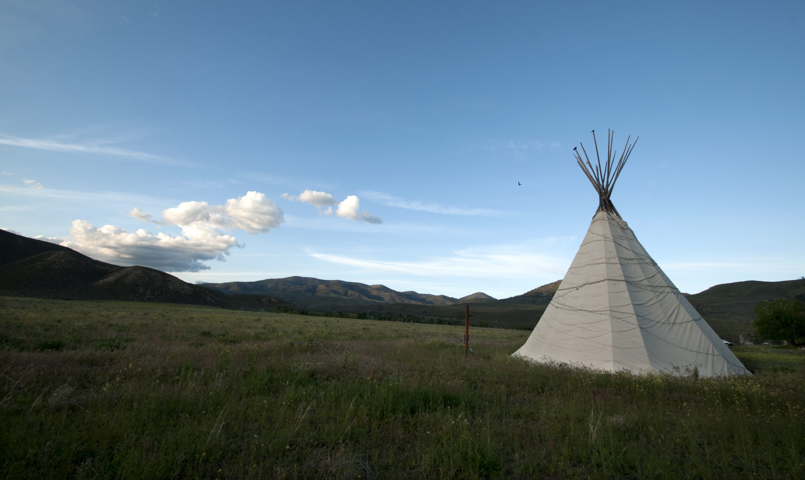 landscape near mount rainier united states 2024 09 17 02 51 20 utc scaled